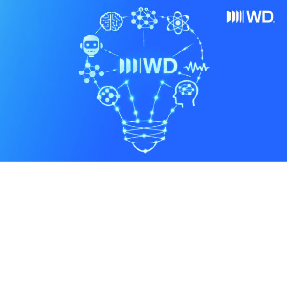 So Many WD AI Tools, So Many Uses
